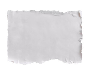 Torn white square strip of paper