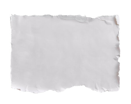 Torn white square strip of paper