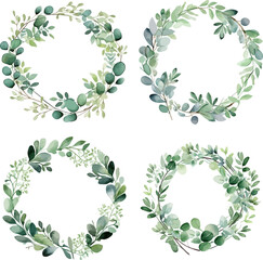 Eucalyptus Wreath Frames Wedding Watercolor Illustration Vector.