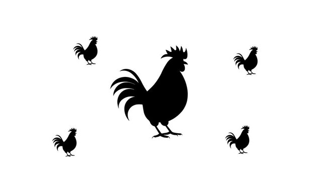Zoom in and out animation the rooster symbol. Large black symbol in the center and four small symbols around. Seamless looped 4k animation on white background