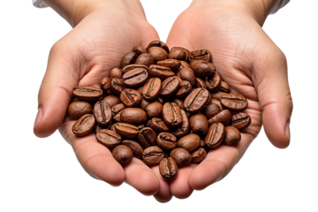 The Harvest of Morning Brew on White or PNG Transparent Background.