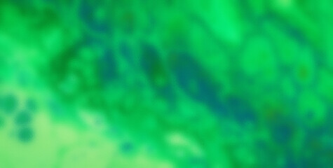 Chromatic Chaos Unleashed: Revel in the Vibrant and Joyful Symphony of Colors in an Abstract Creation
