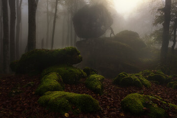 Fototapete bei efototapeten.de bestellen   