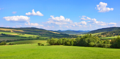 Fototapeta premium Rural summer landscape in countryside of Low Beskids (Beskid Niski), Poland. Beautiful summer landscape in the mountains with green meadows and forested hills.