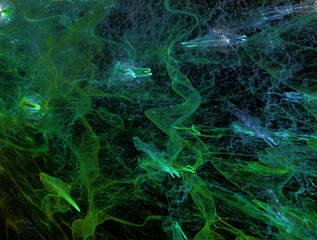 Imaginatory fractal abstract background Image