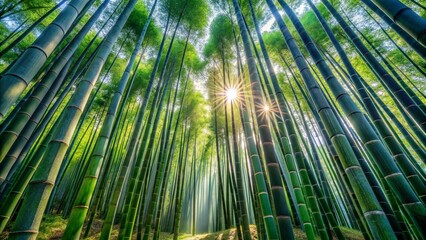 Fototapeta premium Tranquil bamboo forest with towering stalks creating a natural canopy, dappled sunlight filtering through and casting gentle shadows on the forest floor.