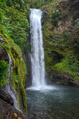 Fototapeta premium Nature’s Serenade. Costa Rican Reserve’s Waterfall Oasis