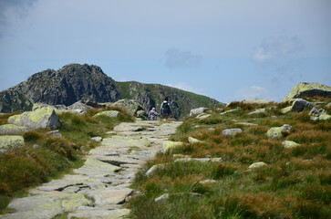 The picturesque landscape features towering peaks, lush alpine forests, and a clear blue summer sky with scattered clouds. In the distance, a family enjoys their outdoor adventure,