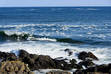 北海道　根室の花咲岬から見た流氷