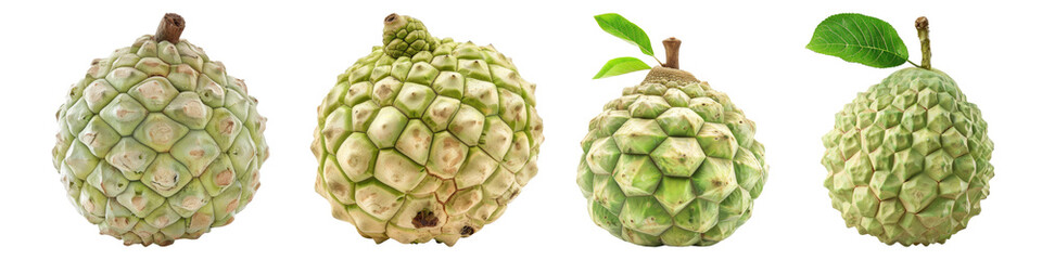 Fototapeta premium Set of Custard apple isolated on transparent background