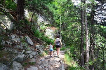 Obraz premium The picturesque landscape features towering peaks, lush alpine forests, and a clear blue summer sky with scattered clouds. In the distance, a family enjoys their outdoor adventure,