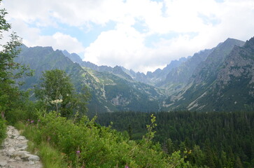 Obraz premium Mountain landscape in the Tatras, Slovakia. View from the High Tatras. background of beautiful mountains in the High Tatras, Mengusovská dolina, hiking trail Tatra highway