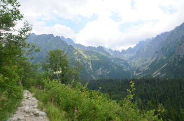 Obraz premium landscape in the mountains