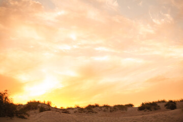 sunset in the desert