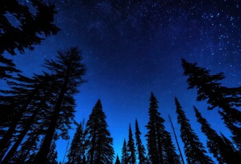 Fototapeta premium enchanting starlit scene ancient forest trees silhouetted night sky, woodland, stars, illuminating, magical, mystical, nature, beauty, serene, peaceful, dark
