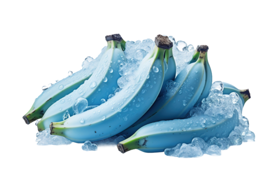 The Breathtaking Banana Ballad on White or PNG Transparent Background.