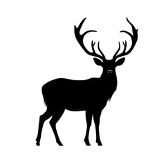 Obraz premium hand drawn animals silhouette set