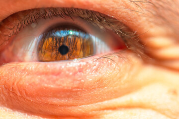 In the Eye of Detail: Macro View of a Man's Eye
