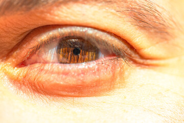 In the Eye of Detail: Macro View of a Man's Eye