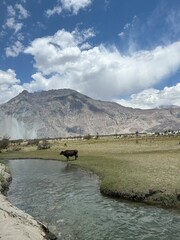 landscape with lake and mountains