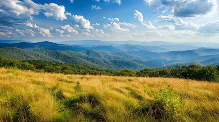 Fototapeta premium Stunning view of the Blue Ridge Mountains from the Appalachian Trail on top of Round Bald. Layers of grasslands, forests, and majestic peaks stretch into the distance.