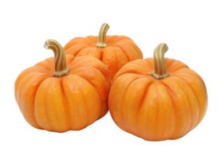 Vibrant orange pumpkins with stems, for autumn and Halloween decorations on a white background.