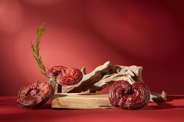 Empty wooden podium arranged with lingzhi mushrooms and a tree branch. Green leaves decorated on red background. Lingzhi mushrooms have more than 400 different nutrients.