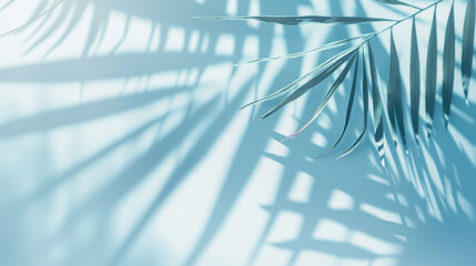 Palm leaves on pastel blue background