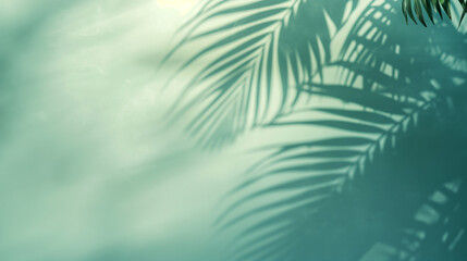 Palm leaves on pastel teal background