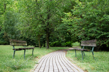 Pathway in city park with broken benches, urban trail, scenic route.