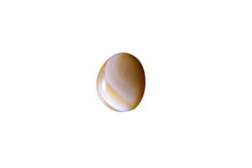 golden Stone on white background