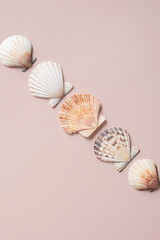 Sea shells arranged in line.