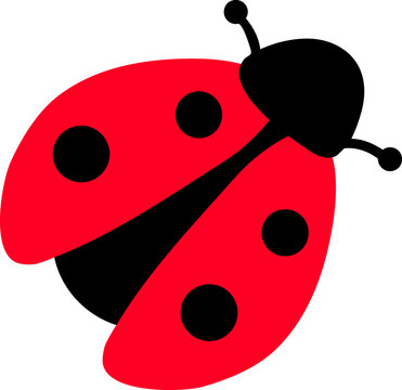 Flying ladybug color icon isolated on transparent background
