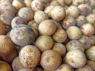 group of Duku fruit or Lansium domesticum