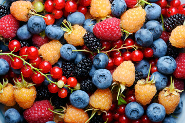 Multicolored mixed berries close up: blueberries, raspberries, redcurrant, blackcurrant and...