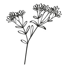 Autumn summer twig sprout of wild plant with leaves and flowers drawn with one black line outline for decorative pattern. Flat doodle style. Vector illustration.