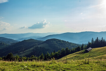 Obraz premium Landscapes - Forest - Europe, Romania, Suceava region