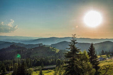Landscapes - Forest - Europe, Romania, Suceava region