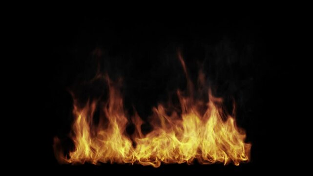 Radiant fire flames on a black background without smoke, captivating and fiery display for dramatic effects. This clip includes an alpha channel.