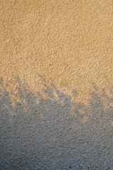 shadow from branches on decorative plaster on an old house wall
