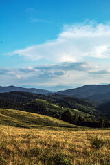 Landscapes - Forest - Europe, Romania, Suceava region