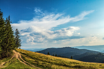Fototapeta premium Landscapes - Forest - Europe, Romania, Suceava region