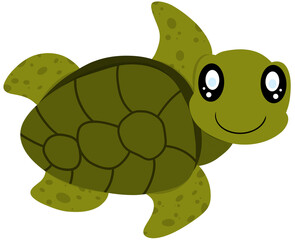 Sea turtle
