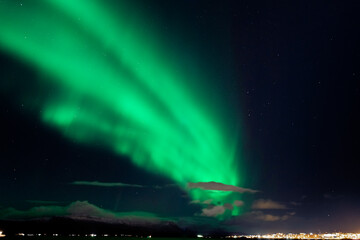 Amazing northern lights with starry sky. Aurora borealis in Reykjavik,  Iceland
