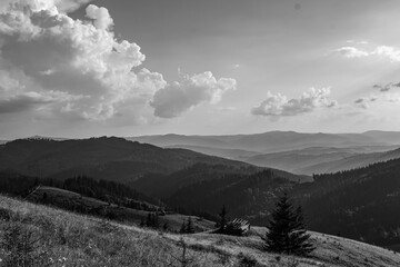 Landscapes - Forest - Europe, Romania, Suceava region