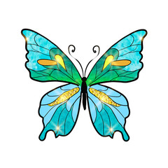 Blue Green Butterfly with Beautiful gold shimmer and light on wings. Hand write illustration watercolor style. Isolated Vector illustration on white background.