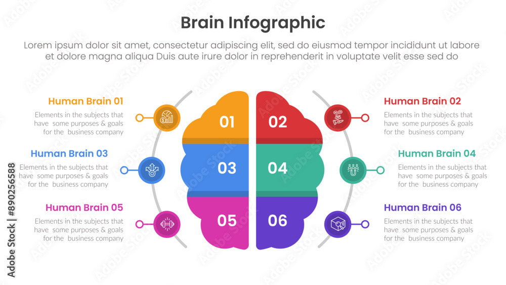 Poster human brain infographic template banner with brain view from top and half circle line on side with 6