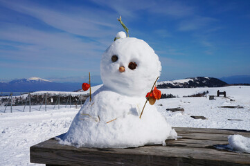 Cute Snowman Under a Clear Blue Sky（青空とかわいい雪だるま）