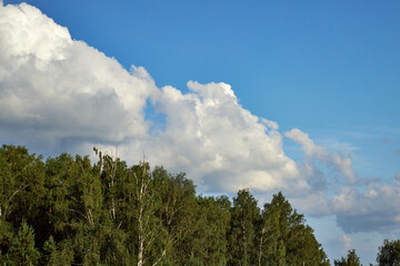 view of the blue sky with white clouds on a sunny summer day