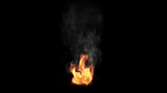 Realistic Fire Flame Torch and Smoke: Vivid Flame Torch in the Dark Background. This clip includes an alpha layer.